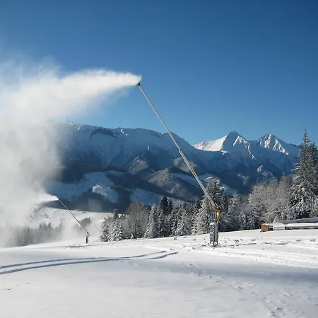 Гостевой дом Silon